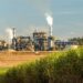 Produção de açúcar na Paraíba cai 24% na safra 2025/2026 e usinas reforçam produção de etanol