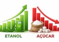 Sindaçúcar-AL divulga balanço da safra com queda na moagem e alta no etanol