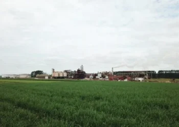 Cocal emite debêntures para financiar investimentos na usina Rio Brilhante