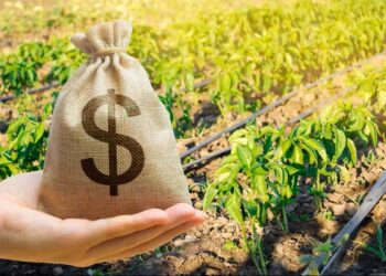 Governo de Goiás promete acabar com ‘taxa do agro’