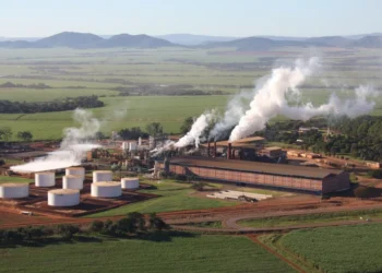 Jalles aumenta mix de açúcar e vendas no 1º semestre da safra 25/26, mas produtividade agrícola recua