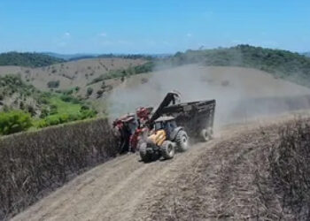 Usina em Alagoas importa máquinas da Índia para enfrentar falta de mão de obra