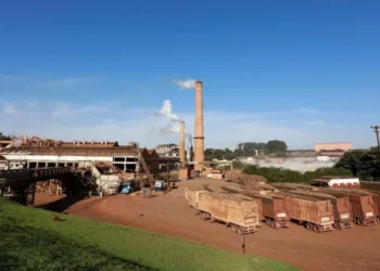 XP mantém cautela e atualiza projeções para São Martinho, Jalles e Raízen