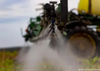 De fertilizantes a carne de frango: veja os setores do agro mais afetados pelo conflito no Irã