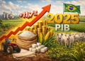 Agropecuária cresce 11,7% e lidera expansão do PIB em 2025