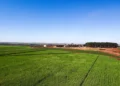 Denusa é destaque em produtividade agrícola em Goiás e no Brasil