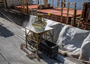 Disponibilidade de fertilizante deve cair a nível recorde este ano, diz estudo