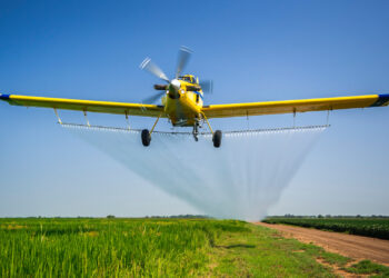 Governo encara crise dos combustíveis como pior que na pandemia e mira fertilizantes