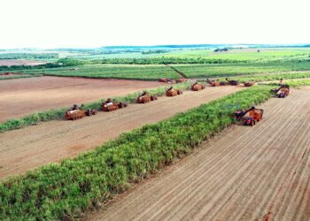 Usina Coruripe obtém financiamento internacional de R$ 530 milhões