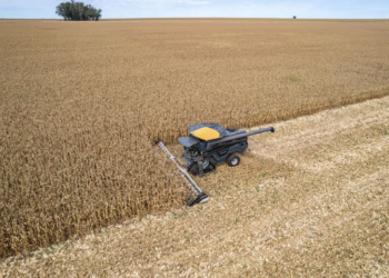 Produção de DDG deve superar 15 milhões de toneladas até 2030