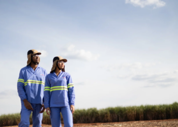 Tereos reduz em 41% acidentes com afastamento e reforça “cultura de segurança”