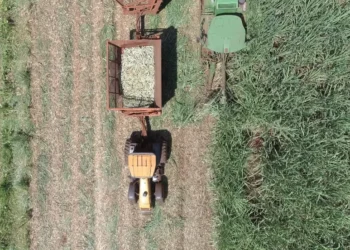 Guerra pode reduzir margens das sucroenergéticas