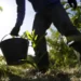 Governo apresenta plano para desenvolver bioeconomia no país