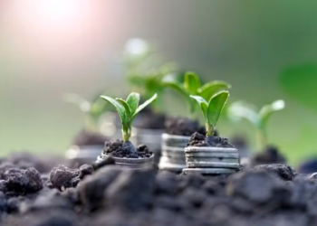 Mercado de bioinsumos alcançou R$ 6,2 bilhões em valor de mercado em 2025