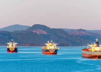 Programa para navegação sustentável prevê linhas de créditos “verdes” via fundos