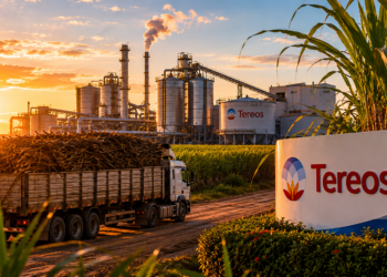 Prejuízo da Tereos acende alerta: eficiência será teste decisivo para usinas na safra 2026/27