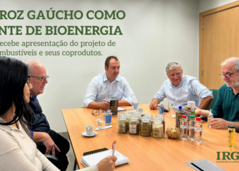 Irga debate a produção de biocombustíveis a partir do arroz gaúcho