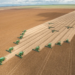 SLC Agrícola tem lucro de R$ 236,1 milhões no 1º trimestre de 2026, queda de 53,8%