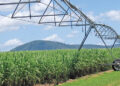 Altair Pinsetta, da Valley, destaca avanços da irrigação no setor