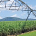 Altair Pinsetta, da Valley, destaca avanços da irrigação no setor