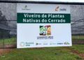 Construção de viveiro no Norte de Minas transforma sementes do Cerrado em estratégia de restauração ambiental e renda para a comunidade