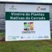 Construção de viveiro no Norte de Minas transforma sementes do Cerrado em estratégia de restauração ambiental e renda para a comunidade