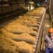 Corte inédito na produção de energia preocupa usinas de cogeração no país
