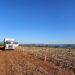 Grupo Queiroz de Queiroz leva pesagem ao campo, ajusta cargas na safra e amplia controle da operação agrícola