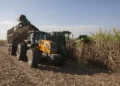 Usinas priorizam produção de etanol no início da safra de cana