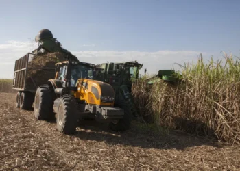 Usinas priorizam produção de etanol no início da safra de cana