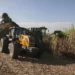 Usinas priorizam produção de etanol no início da safra de cana