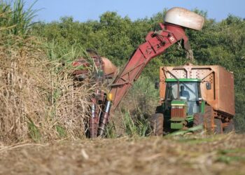 Safra atual deve ser uma das piores para o setor sucroenergético