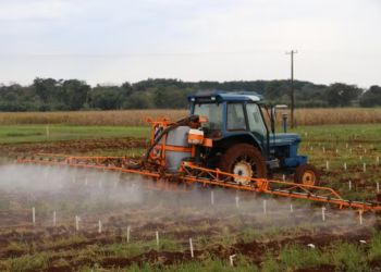 Setor de fertilizantes especiais faturou menos em 2025, mas confia em retomada