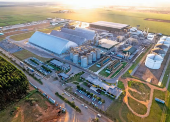 FS vende 10 mil créditos de carbono gerados por BECCS para a Freepoint Commodities