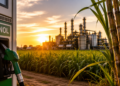 Mato Grosso, São Paulo e Goiás lideram competitividade do etanol frente à gasolina
