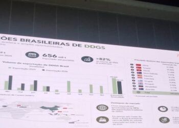 Brasil poderá precisar exportar até 3,5 milhões de toneladas de DDG nos próximos anos, diz CEO da Cerradinho
