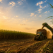 Confira o ranking dos maiores estados produtores de cana na safra 2026/27, segundo estimativa da Conab