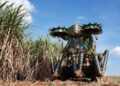 Tereos amplia frota de colhedoras de duas linhas, que economizam até 20% com diesel