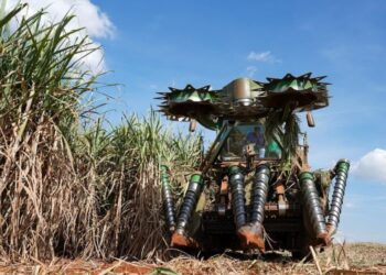 Tereos amplia frota de colhedoras de duas linhas, que economizam até 20% com diesel