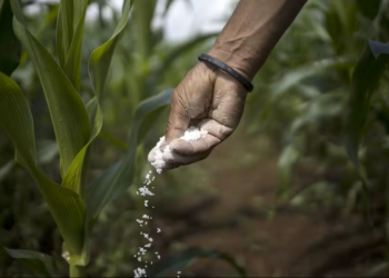 Entregas de fertilizantes em abril caem 6%, para 2,7 milhões de toneladas, diz Anda