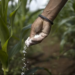 Entregas de fertilizantes em abril caem 6%, para 2,7 milhões de toneladas, diz Anda