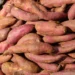 Com investimento de R$ 20 milhões, empresa amplia produção de etanol usando batata-doce