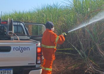 Mitos e Verdades: Raízen alerta para os perigos dos incêndios em canaviais e reforça a importância da prevenção