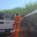 Mitos e Verdades: Raízen alerta para os perigos dos incêndios em canaviais e reforça a importância da prevenção