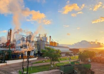 Pindorama projeta crescimento de até 10% em 2026/27 e amplia produção de etanol de grãos