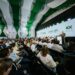 Abertura da Fenasucro & Agrocana destaca liderança do Brasil na transição energética global