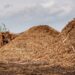 Disputa sobre biomassa ameaça ‘credencial verde’ do etanol de milho