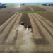 Recuperações judiciais crescem 71% no agro e crise chega aos pequenos produtores