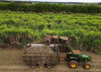 StoneX planeja etanol de milho na entressafra da cana em SP e no MT; investimento pode chegar a R$ 1,2 bi