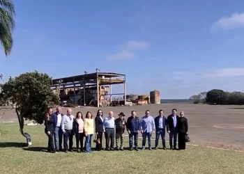 Grupo Viralcool assume Usina Furlan em Avaré e chega a cinco unidades em São Paulo